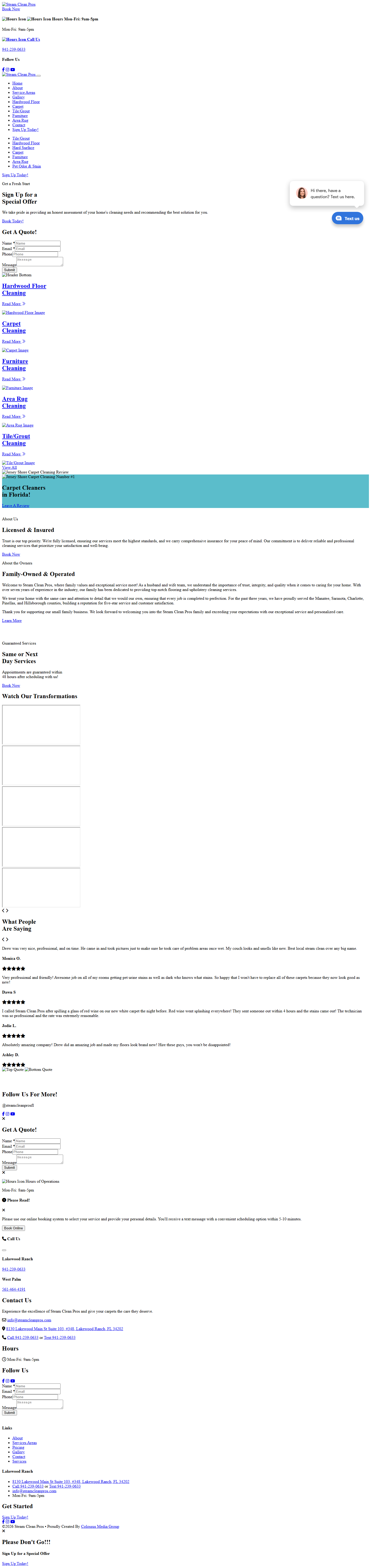 Steam Clean Pros — old website desktop view